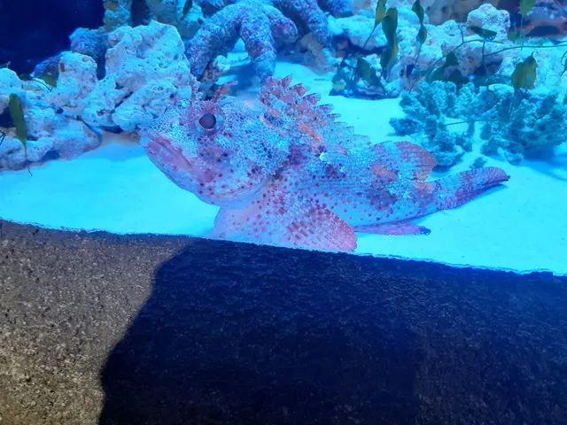 One World Interactive Aquarium — customer photo 11