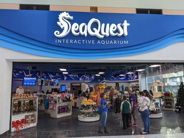 One World Interactive Aquarium — customer photo 8