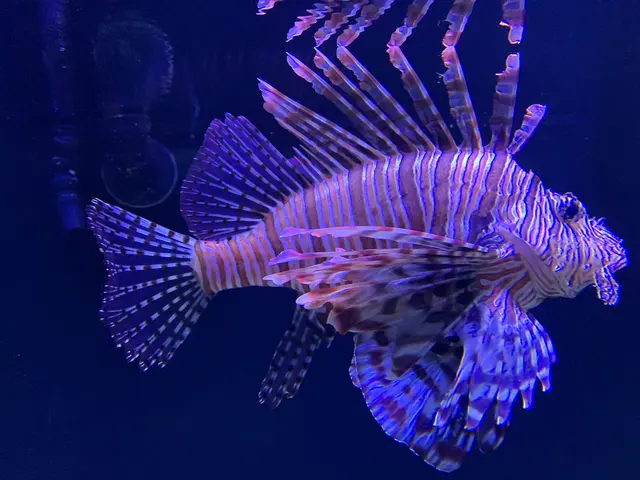 One World Interactive Aquarium — customer photo 4