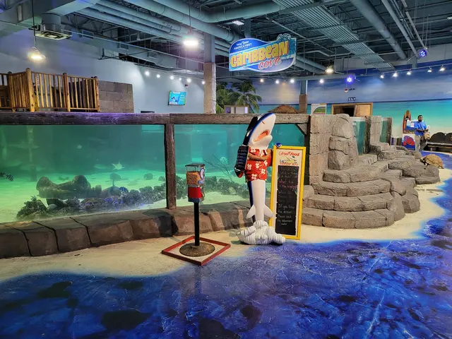 One World Interactive Aquarium — customer photo 12