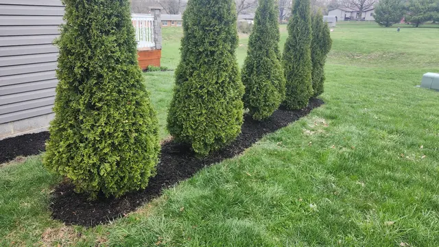 Lotus Lawn Care Services — photo from the business 5