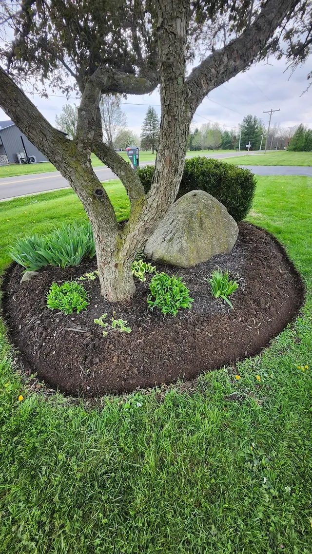 Lotus Lawn Care Services — photo from the business 6