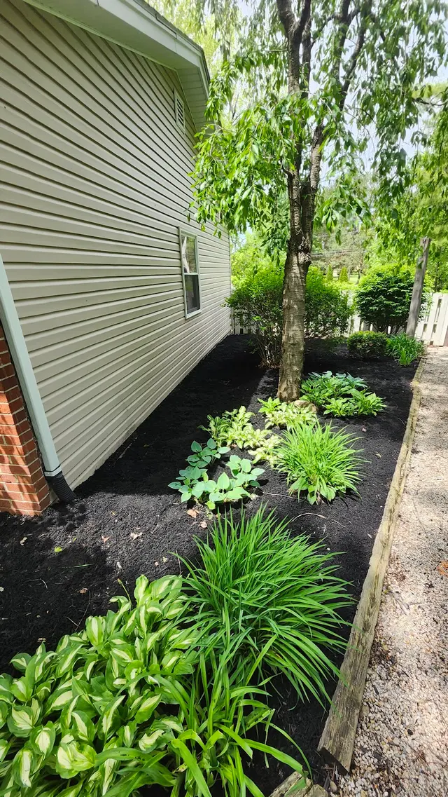 Lotus Lawn Care Services — photo from the business 7