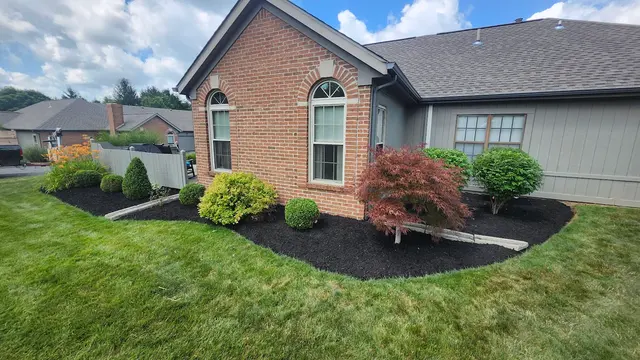 Lotus Lawn Care Services — photo from the business 2