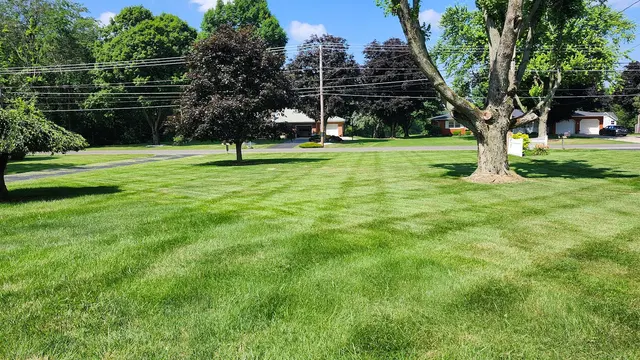 Lotus Lawn Care Services — photo from the business 4