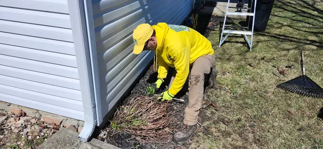 Lotus Lawn Care Services — photo from the business 11