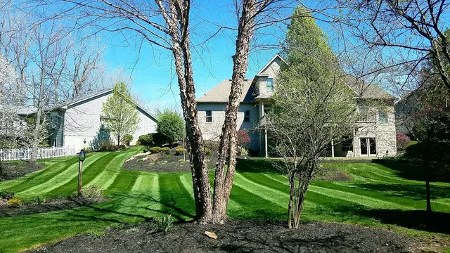 Simply Stripes Lawn & Landscaping — photo from the business 8
