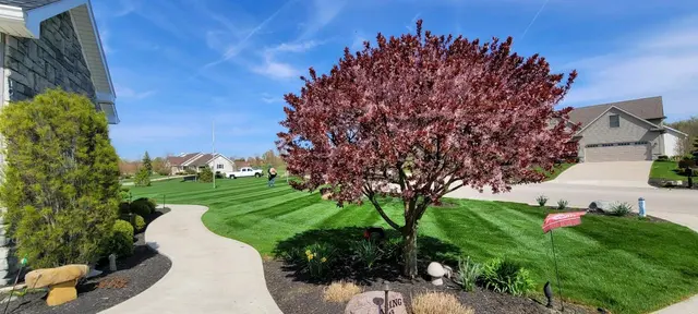 Simply Stripes Lawn & Landscaping — photo from the business 10