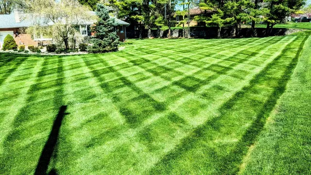 Simply Stripes Lawn & Landscaping — photo from the business 2
