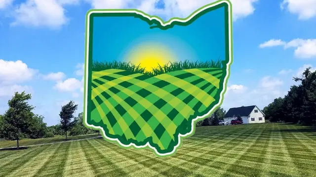 Simply Stripes Lawn & Landscaping — photo from the business 11