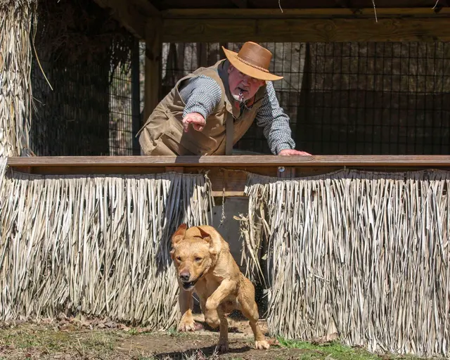 Wildrose Kennels — photo from the business 7