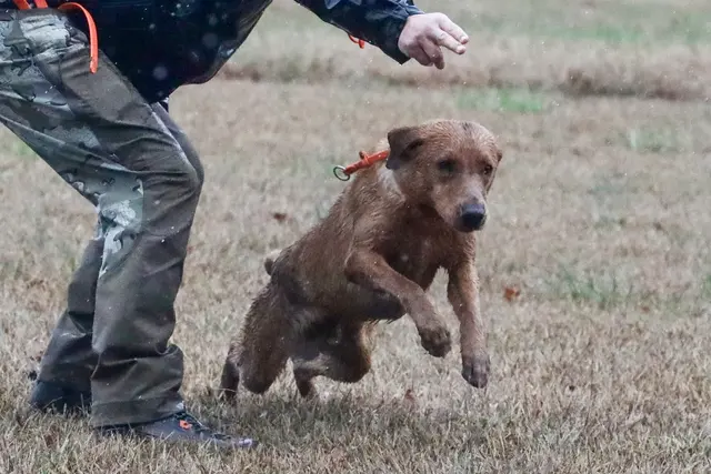 Wildrose Kennels — customer photo 11