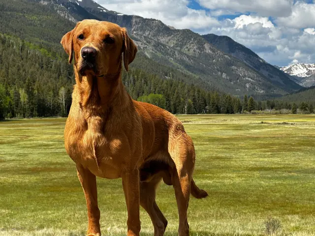 Wildrose Kennels — customer photo 2