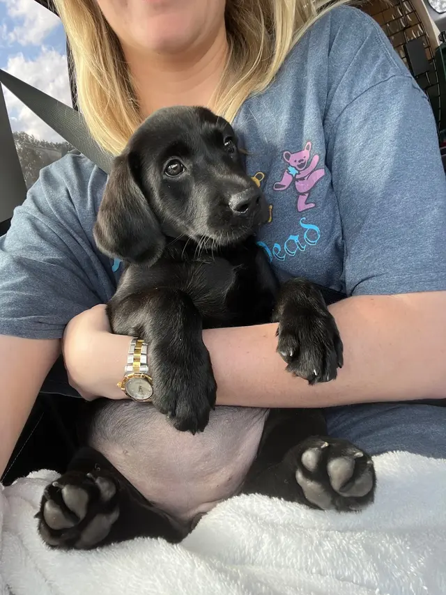 Wildrose Kennels — customer photo 3