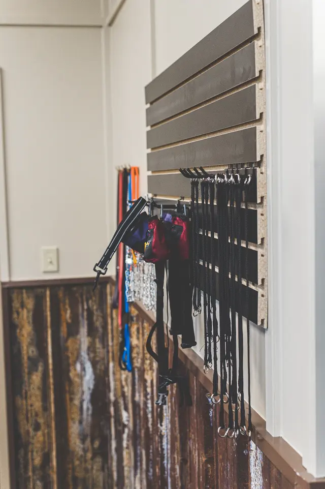 The Academy for Canine Behavior and Training (formerly Taming the Wild) — photo from the business 4