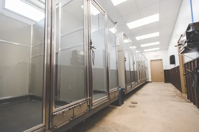 The Academy for Canine Behavior and Training (formerly Taming the Wild) — photo from the business 3