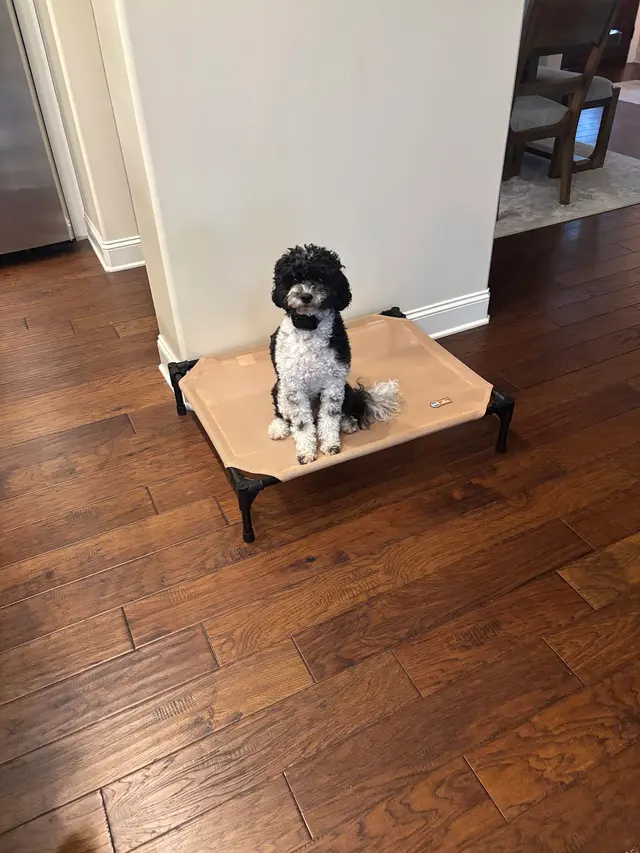 Customer photo from Suzanne's review