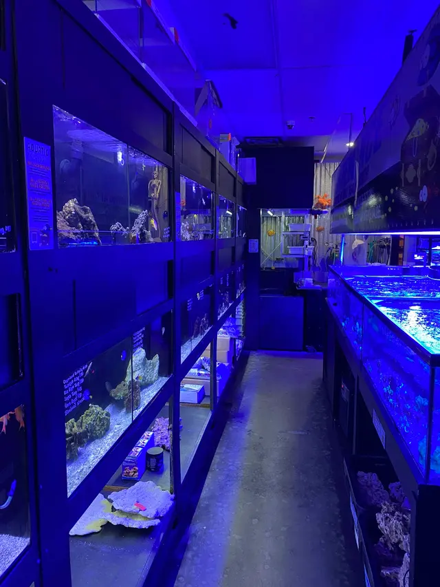 Aquatic Treasures — customer photo 8