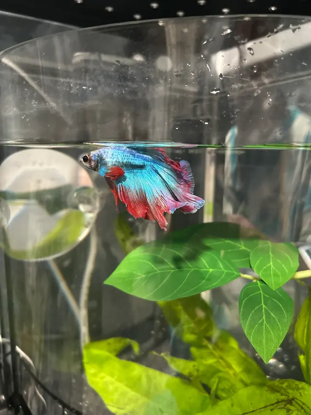 Aquatic Treasures — customer photo 4