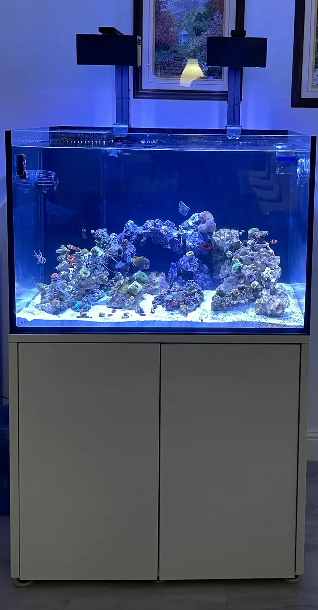 Aquatic Treasures — customer photo 9