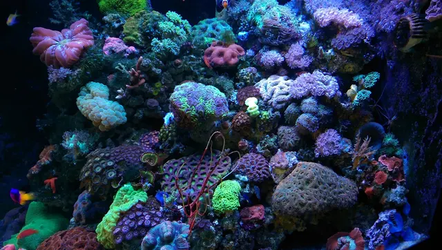 Aquatic Treasures — photo from the business 2