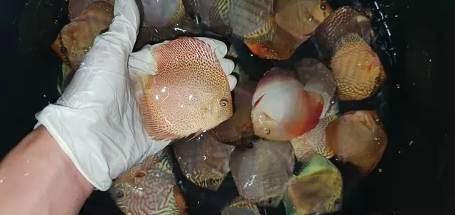 Mike & Miguel Fish & Plant Store — photo from the business 12