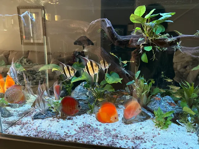 Mike & Miguel Fish & Plant Store — customer photo 10