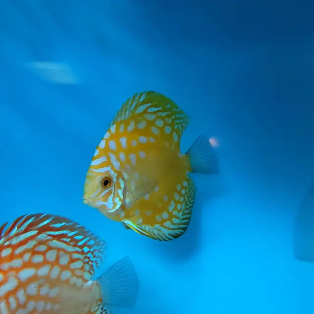 Mike & Miguel Fish & Plant Store — photo from the business 3