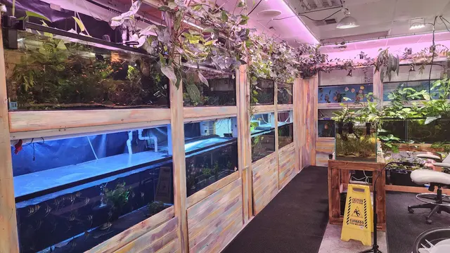 Mike & Miguel Fish & Plant Store — photo from the business 2