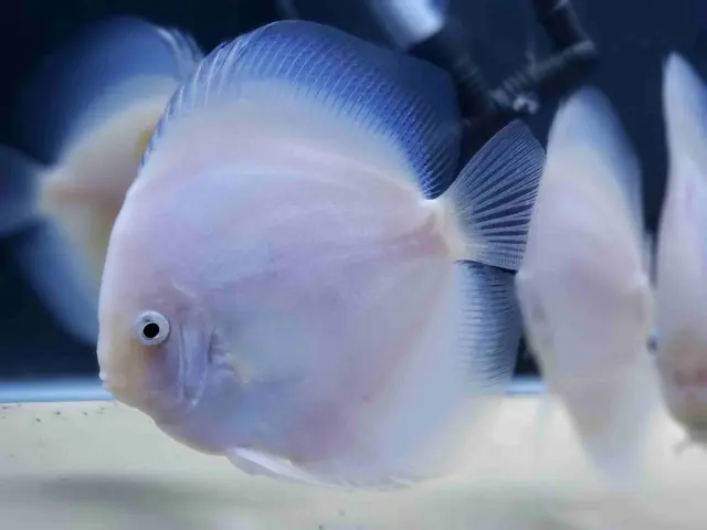 Mike & Miguel Fish & Plant Store — photo from the business 7