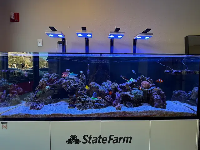 Wet Pets — customer photo 2