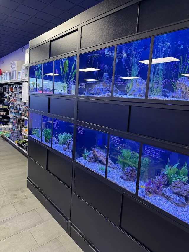Wet Pets — customer photo 8