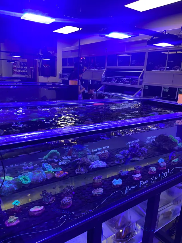 Wet Pets — customer photo 9