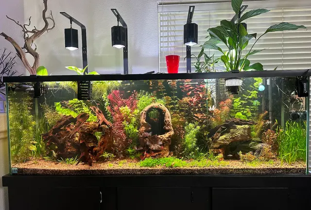 Wet Pets — customer photo 3