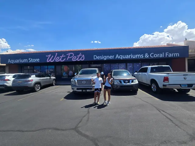 Wet Pets — customer photo 1
