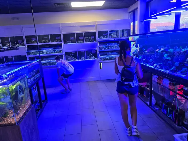Wet Pets — customer photo 7
