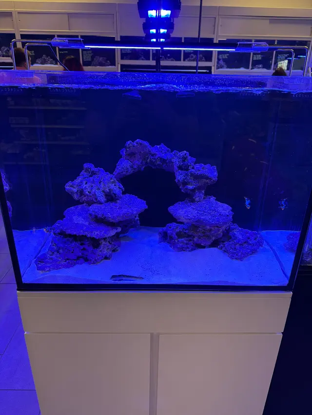 Wet Pets — customer photo 12