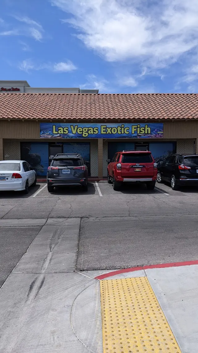 Las Vegas Exotic Fish — customer photo 1