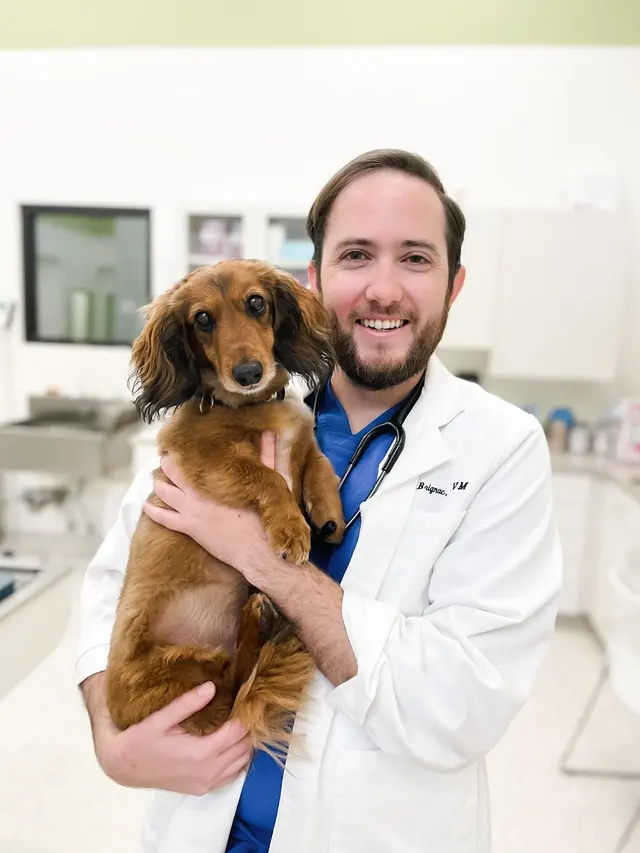 River Road Veterinary Hospital — photo from the business 5