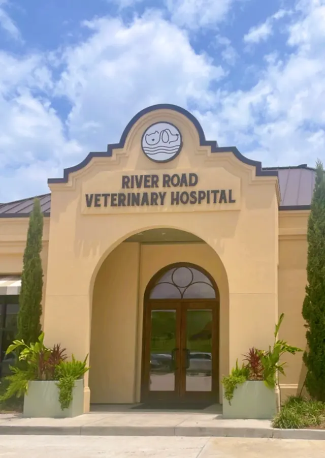 River Road Veterinary Hospital — photo from the business 11