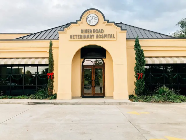 River Road Veterinary Hospital — photo from the business 1