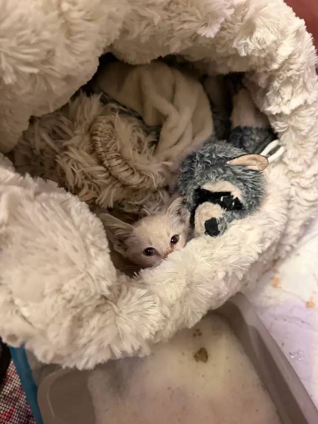 River Road Veterinary Hospital — customer photo 7
