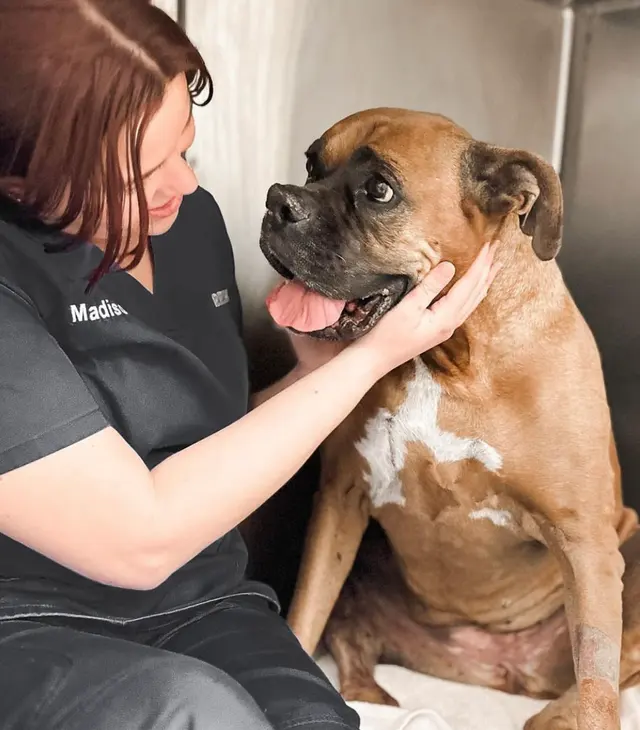 River Road Veterinary Hospital — photo from the business 4