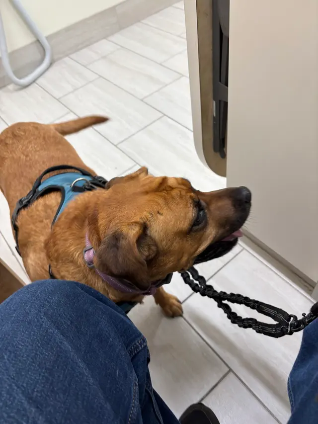 River Road Veterinary Hospital — customer photo 2