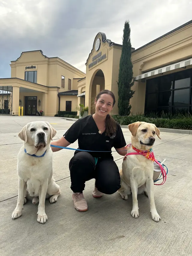 River Road Veterinary Hospital — photo from the business 6