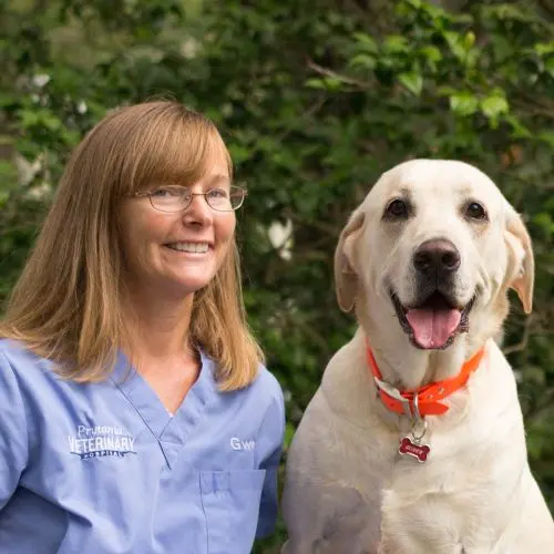 Prytania Veterinary Hospital — photo from the business 9