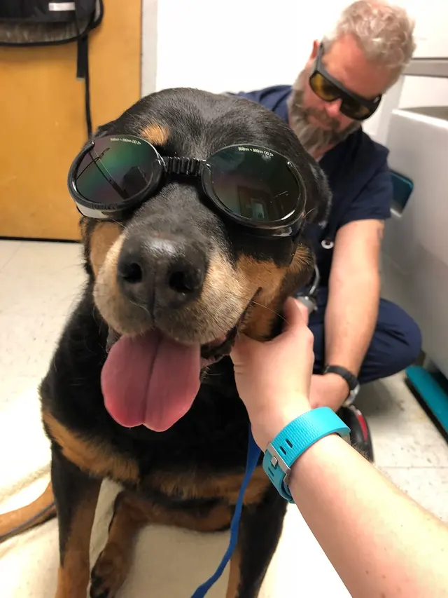 Prytania Veterinary Hospital — photo from the business 8