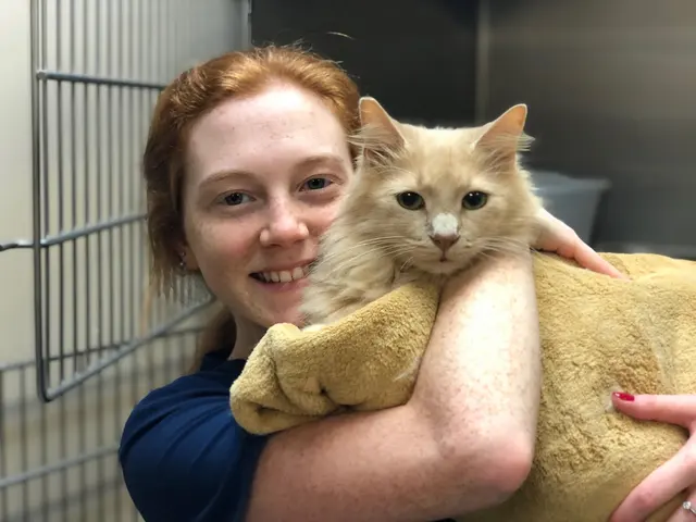 Prytania Veterinary Hospital — photo from the business 12
