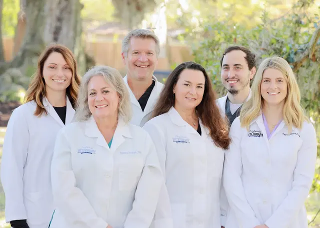 Prytania Veterinary Hospital — photo from the business 1