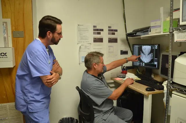 Prytania Veterinary Hospital — photo from the business 6